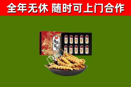 常州市回收冬虫夏草价格