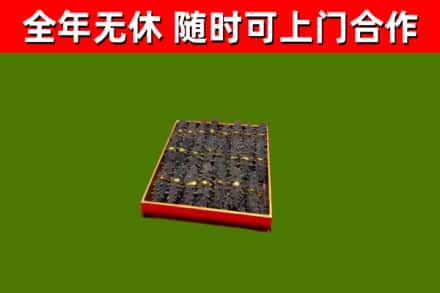 常州市回收海参